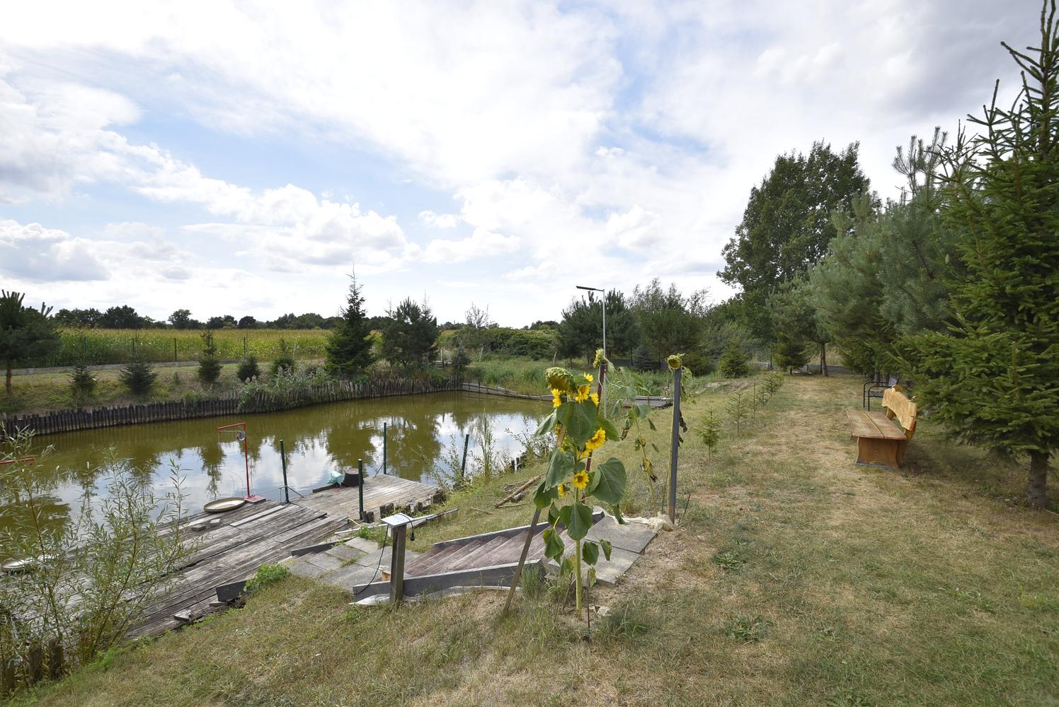 Działka Na sprzedaż duża działka wraz ze stawem wodnym w Kędzierzynie-Koźlu Kłodnica  Błonia